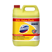 Domestos Pro Formula Citrus Fresh, hygienrengöringsmedel med fräsch citrus