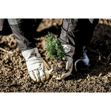 NITRAS handskar av nötskinn, naturlig färg / brun, EN 388 bomull | Förpackning (12 par)