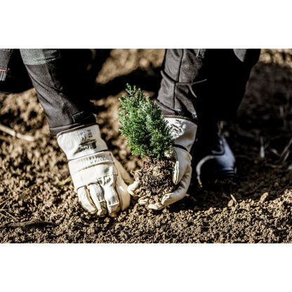 NITRAS handskar av nötskinn, naturlig färg / brun, EN 388 bomull | Förpackning (12 par)