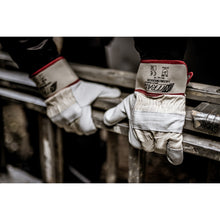 NITRAS MERKUR, handskar av nötskinn, naturlig färg / grå, EN 388 bomull | Förpackning (12 par)