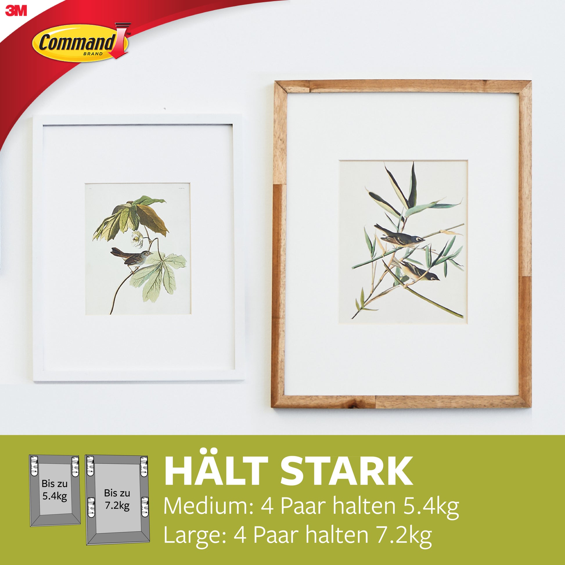 Zwei gerahmte botanische Drucke, ein kleiner und ein großer, hängen nebeneinander an einer weißen Wand. Abgebildet sind die Command™ Bilder-Montage-Strips Multi-Pack 17209 von 3M Deutschland GmbH, die Gewichtsgrenzen und rückstandsfreie Bildaufhängung hervorheben.