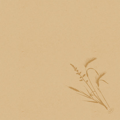 Beige strukturerat papper med en enkel brun botanisk gräsillustration i det nedre högra hörnet. Perfekt för presentationen av Duni GmbH Bio-Dunisoft-servetten 40x40cm. Resten av sidan är tom.