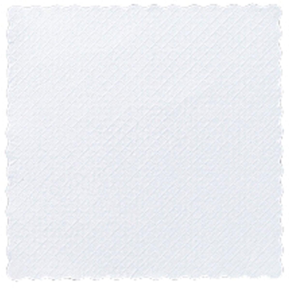 Duni GmbH pappers-dessertservett 17x17 cm, vit, kommer i ett paket med 4000 stycken och imponerar med sin eleganta design - idealisk för den stilfullt dukade gastronomin.