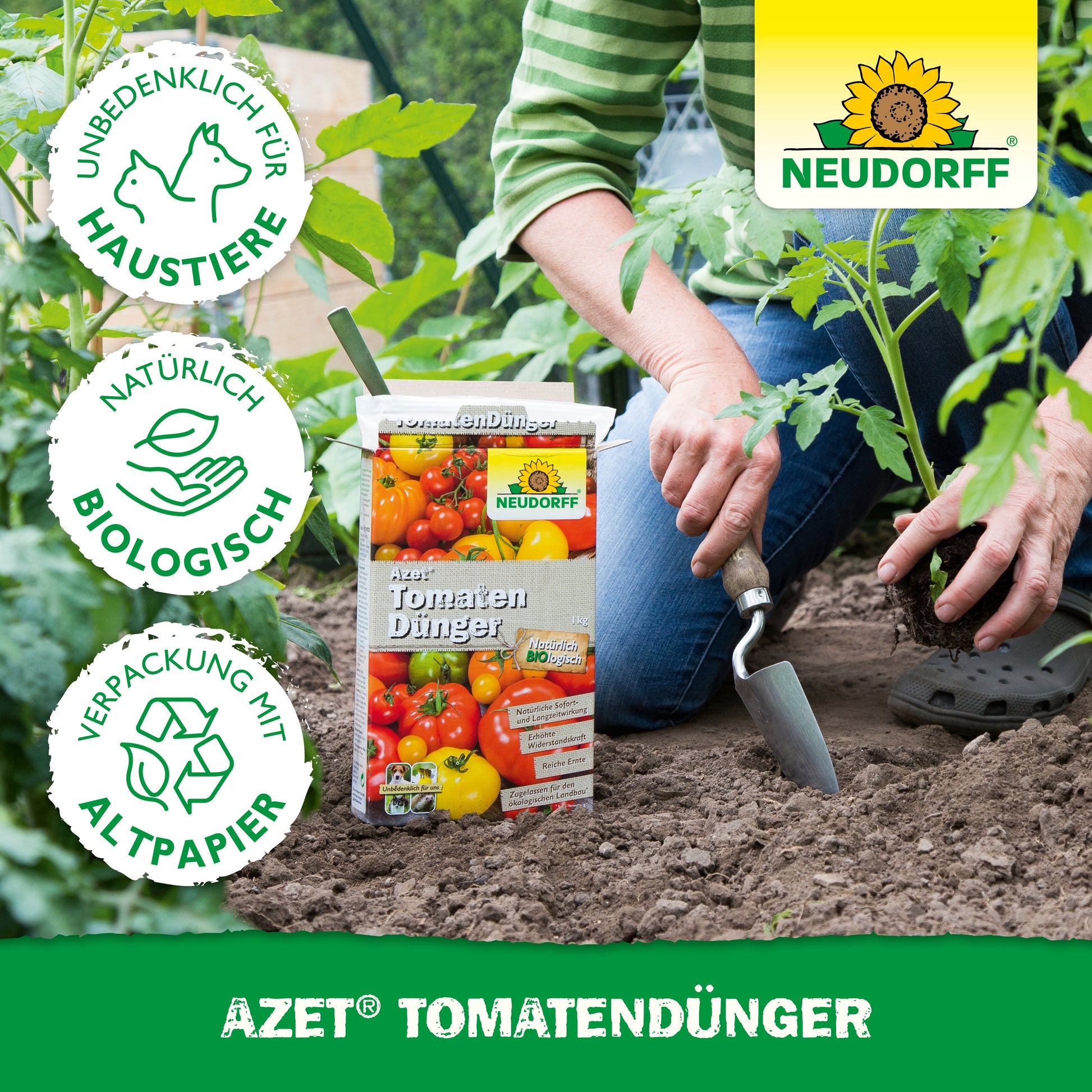 Eine Person benutzt eine Gartenkelle in der Nähe von Tomatenpflanzen und hat eine Kiste Neudorff Shop Azet TomatenDünger dabei. Umweltfreundliche und haustierfreundliche Icons heben diesen organischen Dünger für "eine reiche Ernte" hervor.
