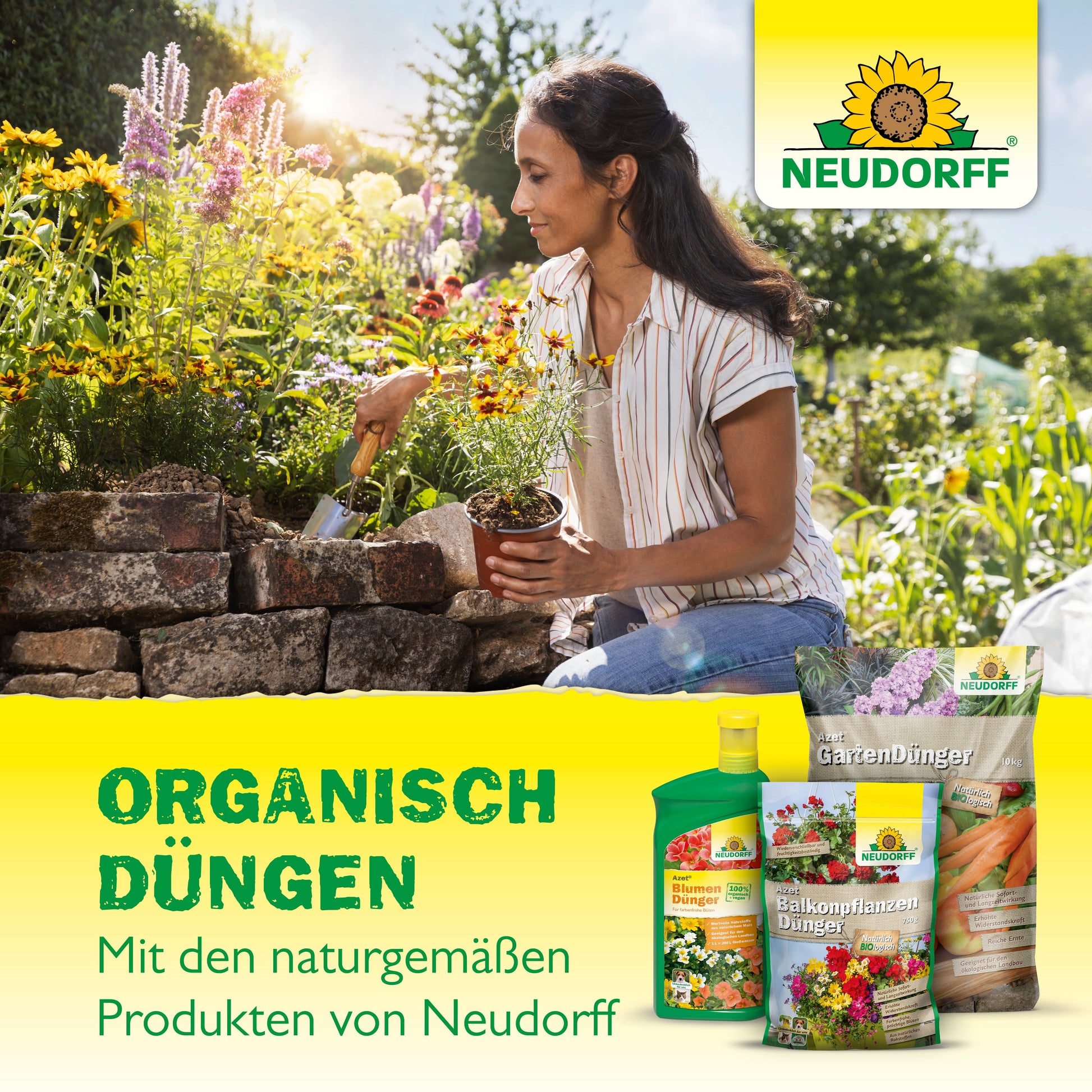 Eine Frau kümmert sich um Azaleen und Rhododendren in einem Garten an einer Steineinfassung. Im Vordergrund stehen Flaschen und Beutel von Neudorff Shop Azet RhododendronDünger mit einem deutschen Text, der die organische Düngung hervorhebt.