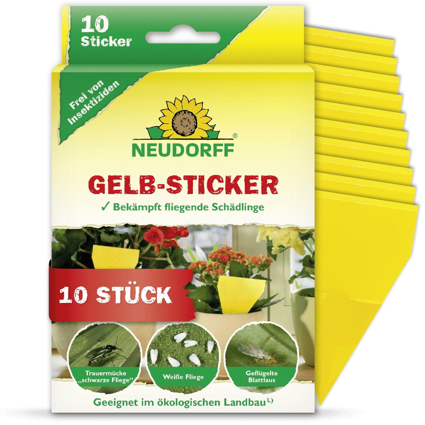Ett paket Neudorff Shop gula klistermärken innehåller 10 gula klisterfällor för krukväxter, som på framsidan anges som effektiva mot sorgmyggor i krukväxter, med tyska bruksanvisningar.