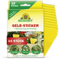 Ett paket Neudorff Shop gula klistermärken innehåller 10 gula klisterfällor för krukväxter, som på framsidan anges som effektiva mot sorgmyggor i krukväxter, med tyska bruksanvisningar.