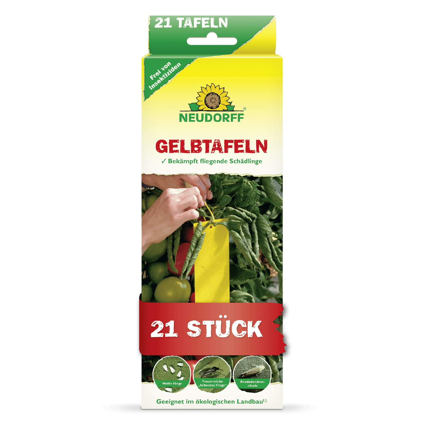 En rektangulär låda från Neudorff Shop Gulplattor (liten storlek) visar en hand som placerar en gul klisterfälla mellan tomater. Den 21-delade förpackningen kontrollerar vita flygare och sorgmyggor och är lämplig för ekologiskt jordbruk.