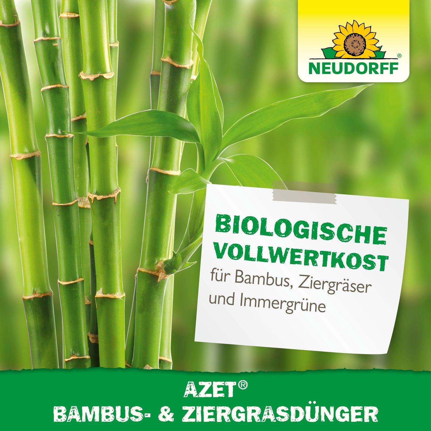 Närbild av gröna bambustjälkar och blad med Neudorff Shop-logotypen. På en etikett står det: "Azet Bambus- & prydnadsgräsgödsel - biologisk fullvärdig kost och lättskött för bambu, gräs och städsegröna.