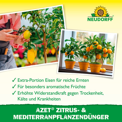 Links hält eine Person eine gelbe Zitrone, rechts trägt ein Orangenbaum reife Früchte. Der Text empfiehlt den Azet Zitrus- & MediterranpflanzenDünger von Neudorff Shop für Zitrus- und mediterrane Kübelpflanzen.