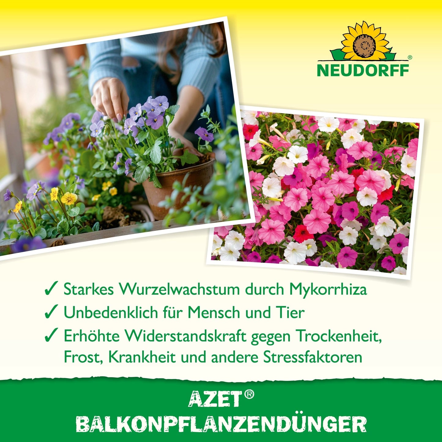 En person planterar lysande sommarblommor i en kruka. Bredvid syns blommande petunior i närbild. Texten nedan presenterar Azet Balkongväxtgödsel från Neudorff Shop, ett organiskt fullgödselmedel, perfekt för balkonglådor.