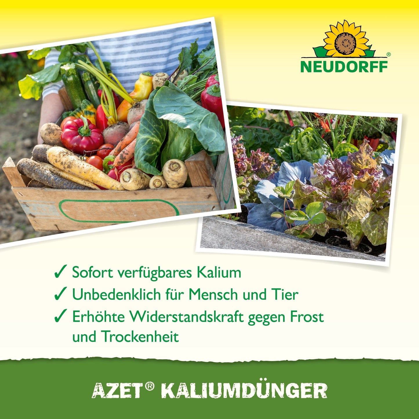 En trälåda med grönsaker står bredvid bladgrönsaker. Texten framhäver Azet Kaliumgödsel från Neudorff Shop, som erbjuder omedelbar näringstillgänglighet för växtgödsling och är säker för människor och djur.