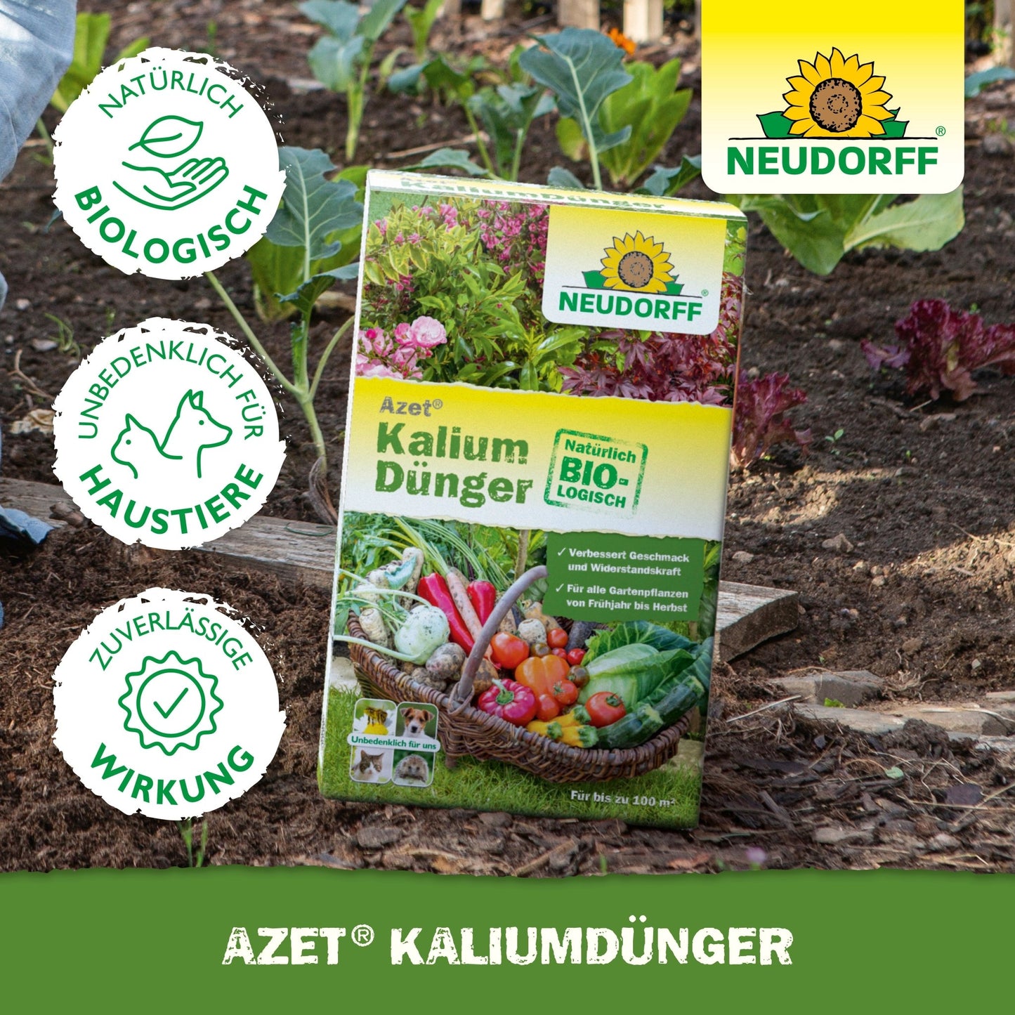 En låda Azet Kaliumgödsel från Neudorff Shop står på trädgårdsjorden mellan grönsaker och gröna växter och visar produktinformation och certifieringar. Idealisk för att gödsla växter och förhindra kaliumbrist.