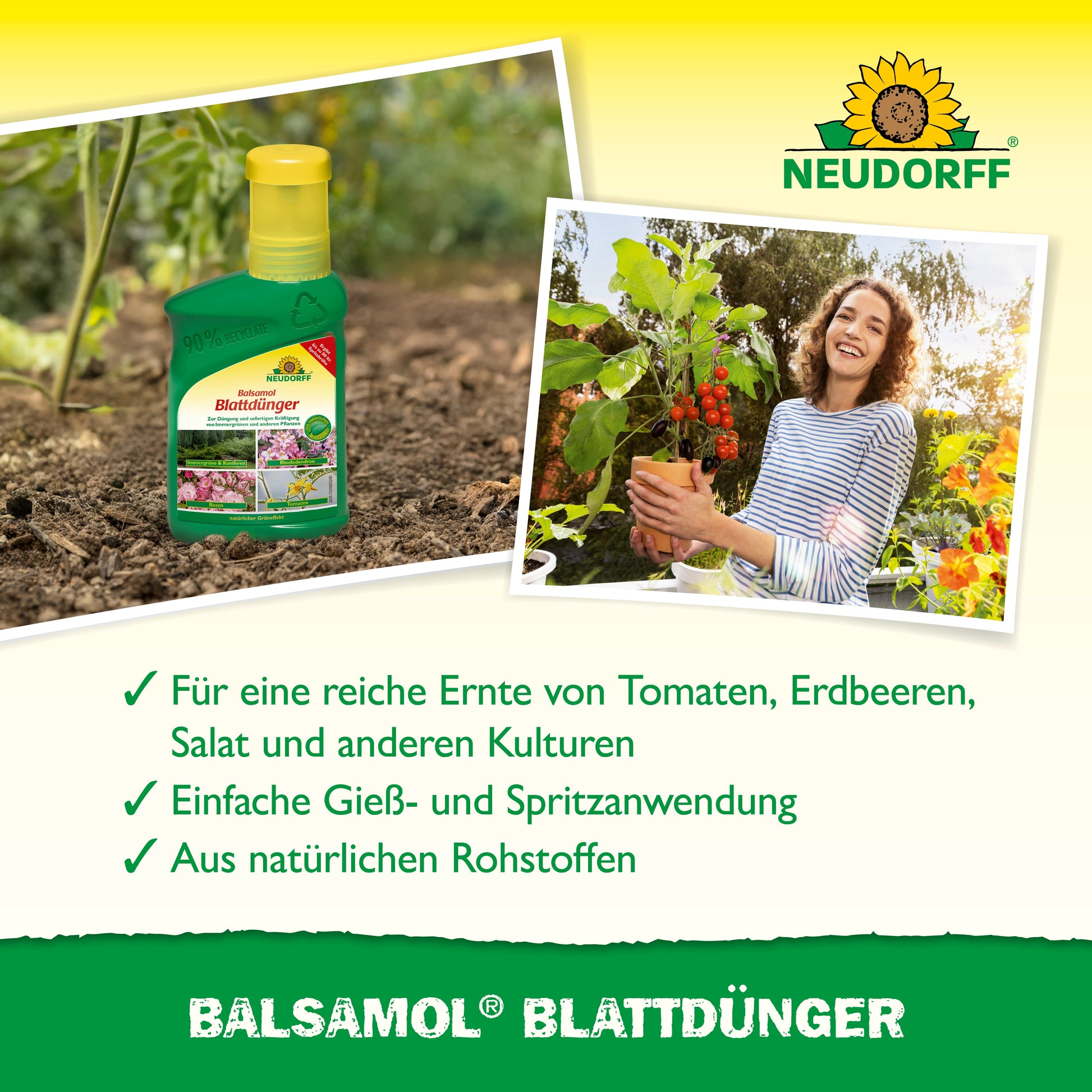 Eine Flasche Balsamol Blattdünger aus dem Neudorff Shop ist neben einer lächelnden Frau mit einer Tomatenpflanze abgebildet. Der Text stellt die natürlichen Inhaltsstoffe und die Vorteile für Nadelgehölze und andere Pflanzen auf gelb-grünem Hintergrund vor.