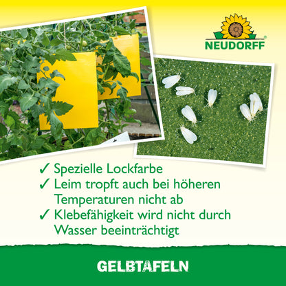 Eine großformatige Gelbtafeln-Klebefalle aus dem Neudorff Shop hängt zwischen Tomatenpflanzen in einem Gewächshaus und fängt Pflanzenschädlinge. Der deutsche Text hebt die spezielle Lockfarbe und den wasserfesten Kleber hervor, darüber das Neudorff-Logo.