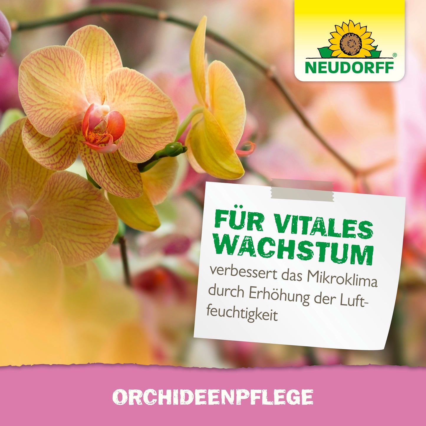 Mehrere gelb-orange blühende Orchideen sind aus der Nähe zu sehen. Ein deutsches Schild wirbt für die OrchideenPflege von Neudorff Shop und hebt das verbesserte Wachstum und die erhöhte Feuchtigkeit hervor. Das Neudorff-Logo erscheint oben rechts.
