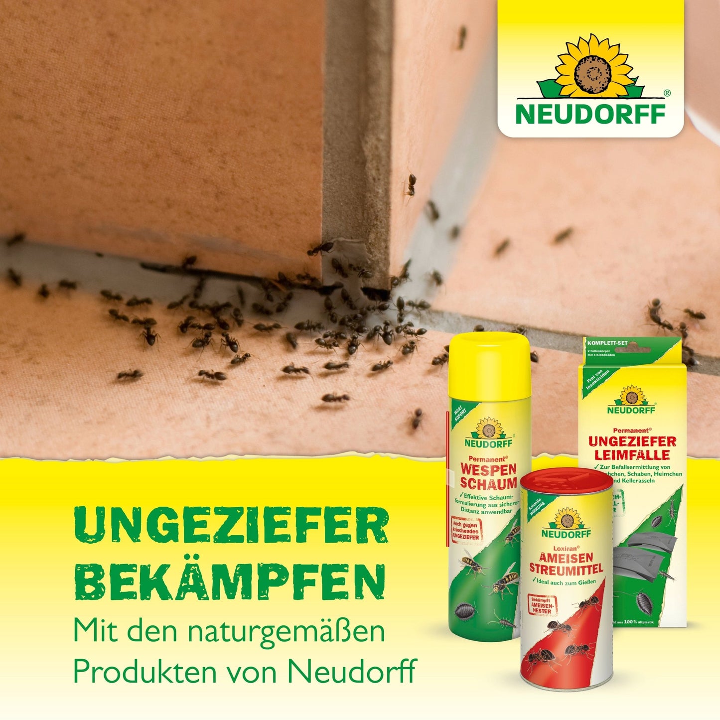 En grupp myror kryper över ett kaklat golv. Framför visas tre produkter från Neudorff Shop Dubbelflugsmälla. Den tyska texten marknadsför naturliga skadedjursbekämpningslösningar som är fläckfria.