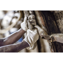 NITRAS bomullsjerseyhandskar, naturlig bomullsjersey | Förpackning (12 par)