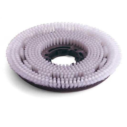 Numatic Octo Nylon skurborste 300mm för TTV678/TVL850 | Förpackning (1 st)