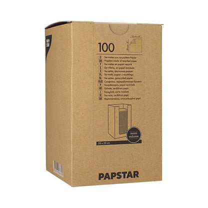 En brun låda med texten "PAPSTAR GmbH" innehåller 100 PAPSTAR servetter 1/4-vikning av återvunnet papper, 20x20 cm natur, med flerspråkig text och en enkel bild av en servetthög på lådan.