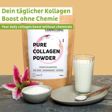 Kollagenhydrolysatpulver