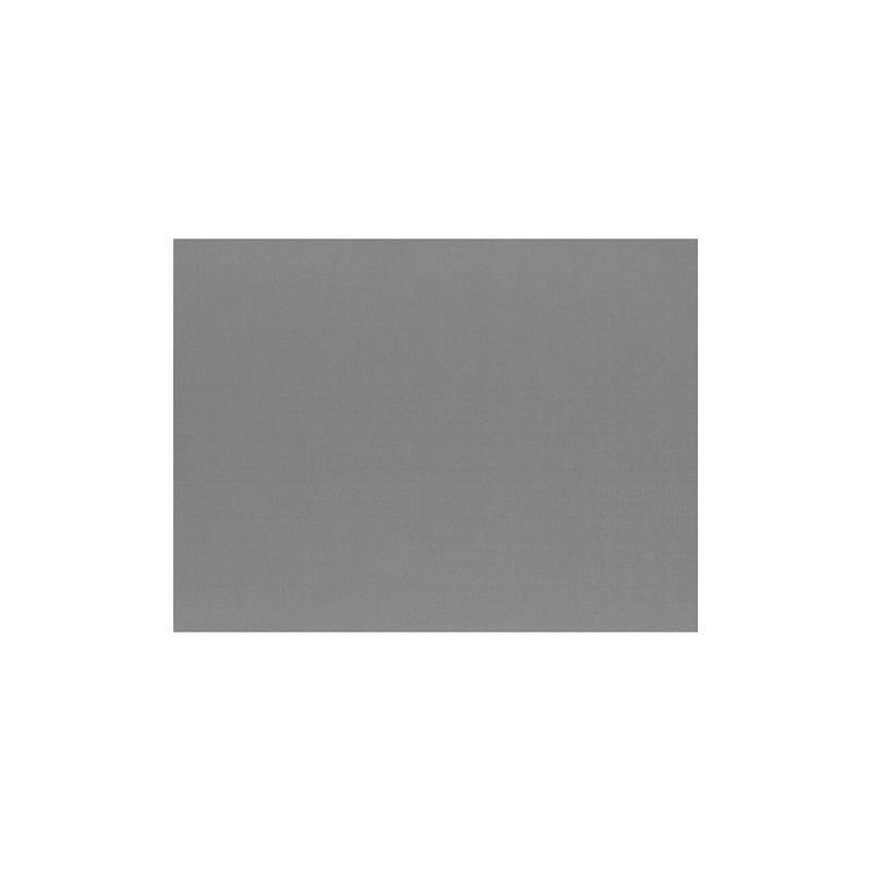 Ett enkelt, enfärgat grått PAPSTAR 100 pappersunderlägg (30 x 40 cm) från PAPSTAR GmbH står mitt på en vit bakgrund och har inga mönster, strukturer eller särdrag.