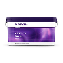 En rektangulär 10 kg-plastbehållare från Bertels B.V. med texten ”Plagron Calcium Kick” har ett lila lock och ett handtag med färgövergång; detta mineraliska jordförbättringsmedel förbättrar jordstrukturen och fungerar som pH-regulator.