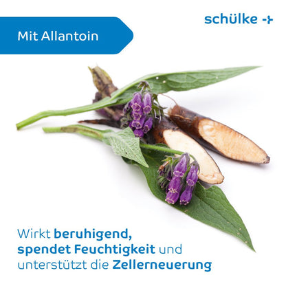 Mot en vit bakgrund visas ett växtsegment med violetta blommor. Den tyska texten bredvid beskriver dess lugnande effekt, dess fuktgivande egenskaper och dess stöd för cellförnyelse. Produkten, Schülke Sensiva® tvättlotion från Schülke & Mayr GmbH, innehåller allantoin, är hudvänlig och fri från färgämnen och parfym.